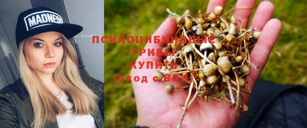 СК Алексеевка