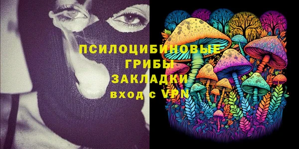 дурь Алексин