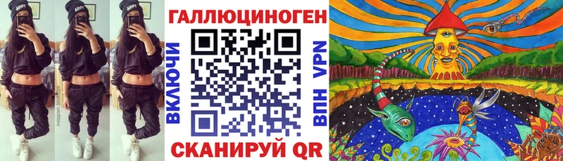 где можно купить   Кемь  Псилоцибиновые грибы Psilocybine cubensis 